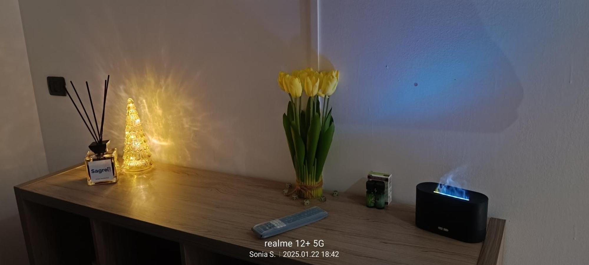 Apartamento La Fenice *